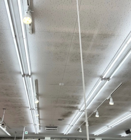 カビで黒くなった天井ジプトーン