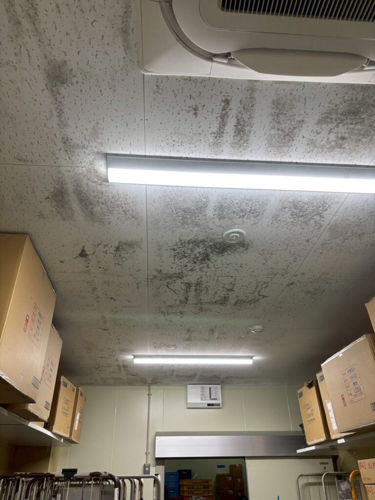 天井の黒いカビ洗浄 東大阪市 北本紙業