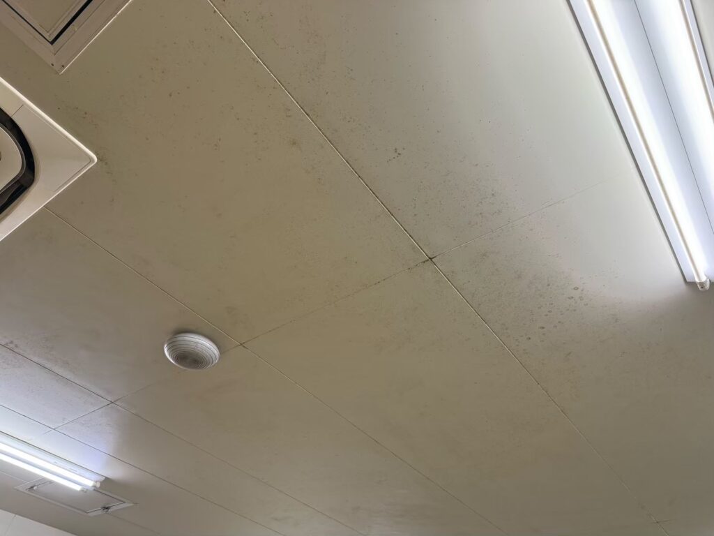 天井 カビ カビ汚れ カビ取り
カビ取り洗剤 環境にやさしい
目に沁みない 抗菌消臭 しつこいカビ汚れ 環境対応型洗浄剤 スーパー 資源